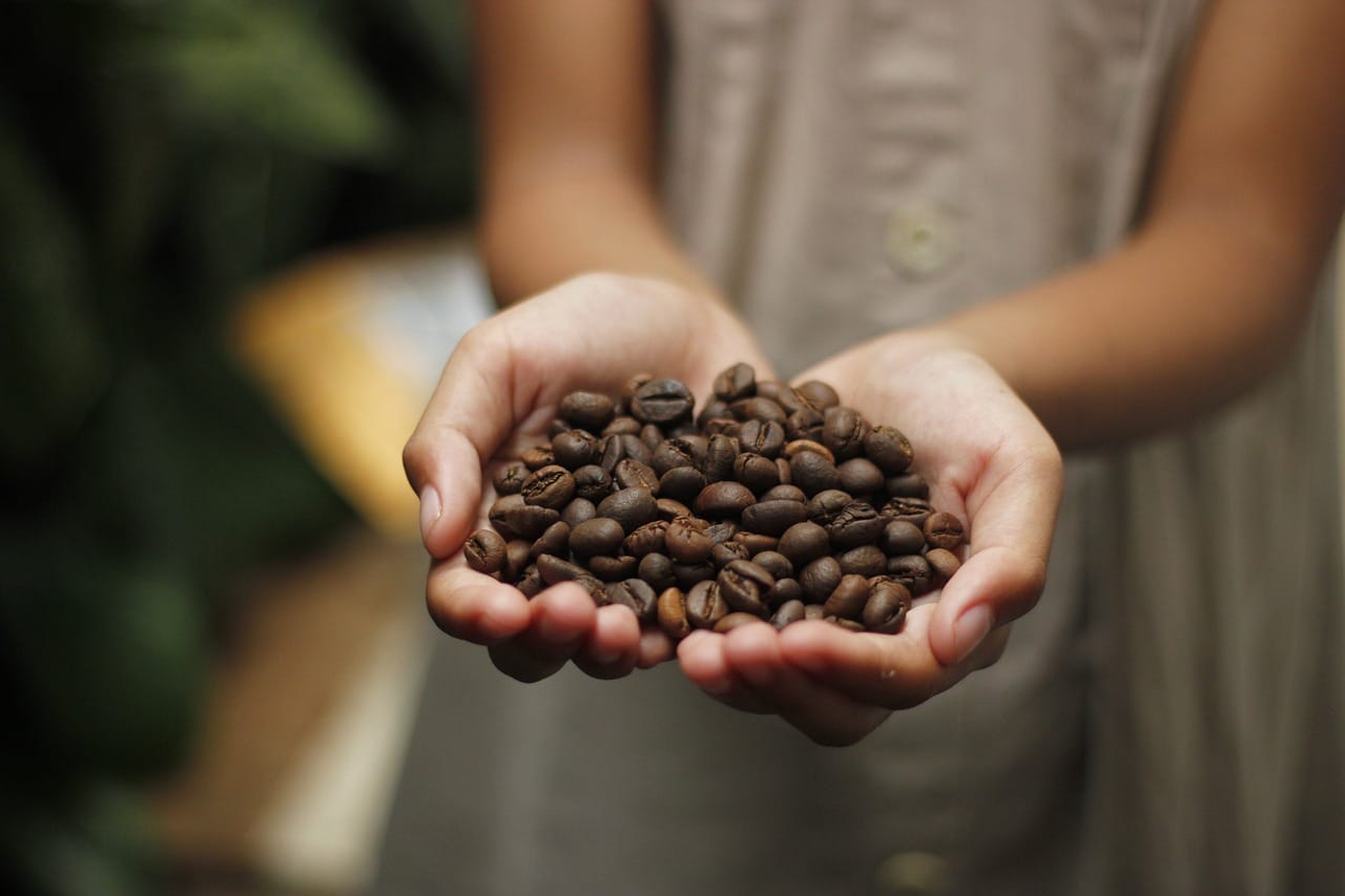espresso için hangi kahve çekirdeği